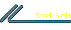 Small Birds