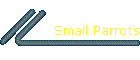 Small Parrots